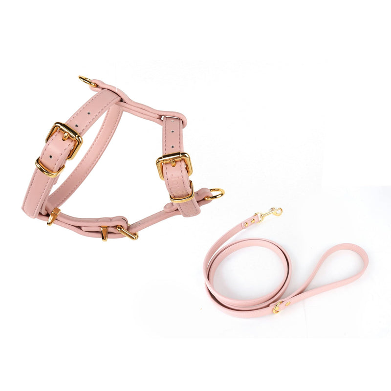 Luxury Dog Harness and Leash Set, Adjustable Padded Pet Harness for Small, to Large Dogs, No Pull H-Shaped Design with Handle, Premium Comfort and Control, Stylish Pink(S) Dog Harness. Small (S) - PawsPlanet Australia