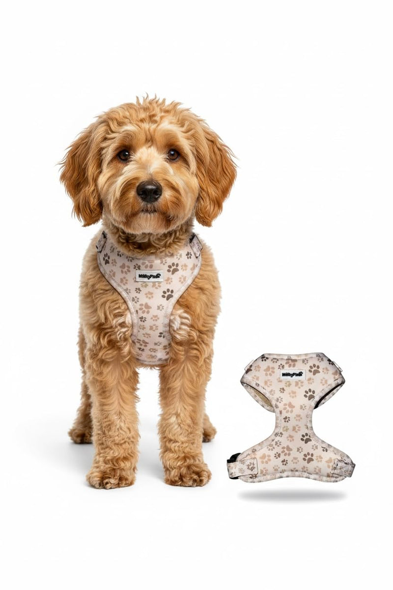 Dog Harness — Soft Adjustable Vest for Small Dogs & Cats, No-Choke, Breathable Mesh, Lightweight, Comfortable Pet Harness Paw Print Medium (12-22 Lb) - PawsPlanet Australia