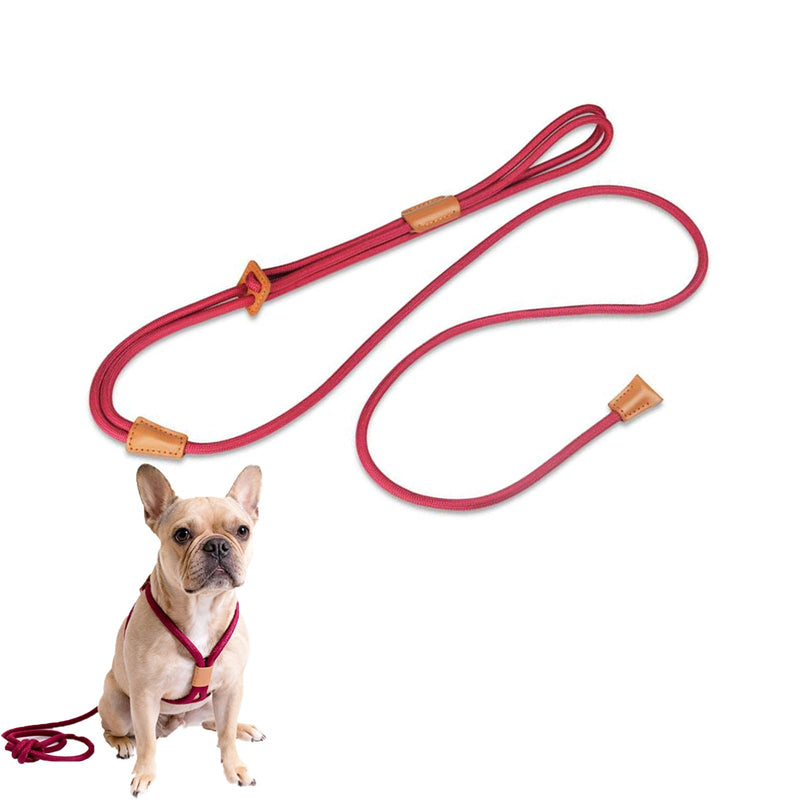 Slip Leads for Dogs, No Pull Rope Dog Harness, Collar Leash and Harness All in One, Adjustable Pet Training Lead for Walking, Dog Leashes for Small Medium Large Dogs, 5ft Red - PawsPlanet Australia