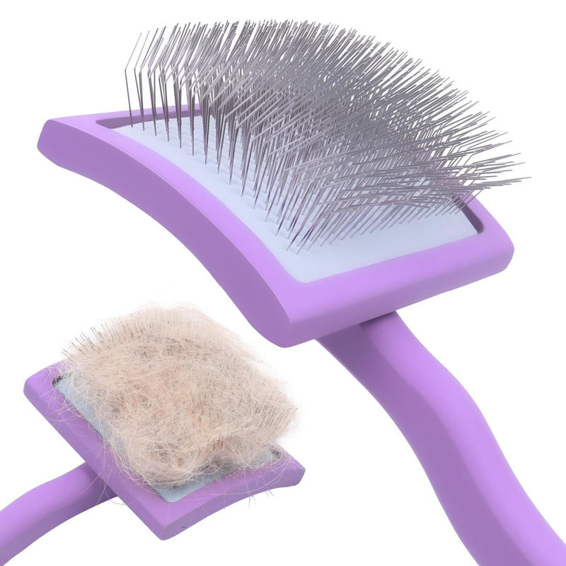 Extra-Long Pin Slicker Brush for Large Dogs, Removes Tangles, Mats & Undercoat Fluff, Wood Handle, Grooming Tool for Poodle Goldendoodle Labradoodle & Thick-Coat Breeds, Purple - PawsPlanet Australia