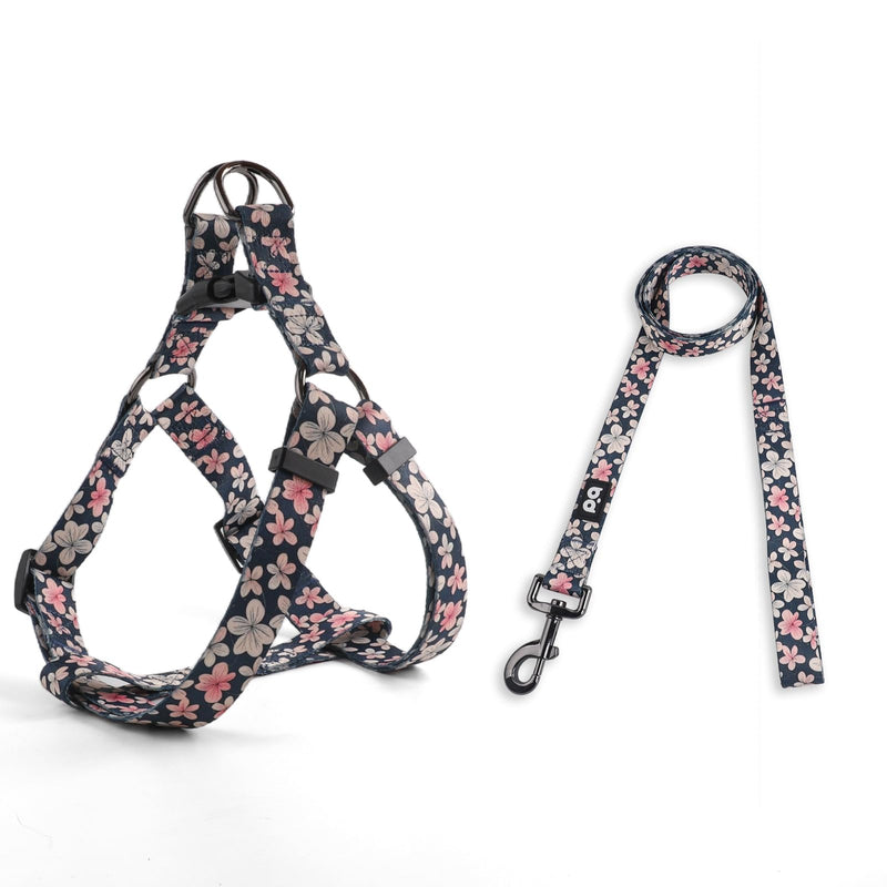 QQPETS Dog Harness Leash Set Adjustable Heavy Duty No Pull Halter Harnesses for Small Medium Large Breed Dogs Back Clip Anti-Twist Perfect for Walking - PawsPlanet Australia
