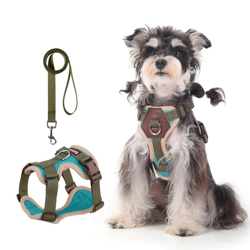Small Dog Harness and Leash Set, Breathable Mesh Puppy Harness, Adjustable Dog Harness for Small Medium Large Dogs, No-Pull Pet Harness for Daily Walking (Lakeblue, Large) Lakeblue L - PawsPlanet Australia