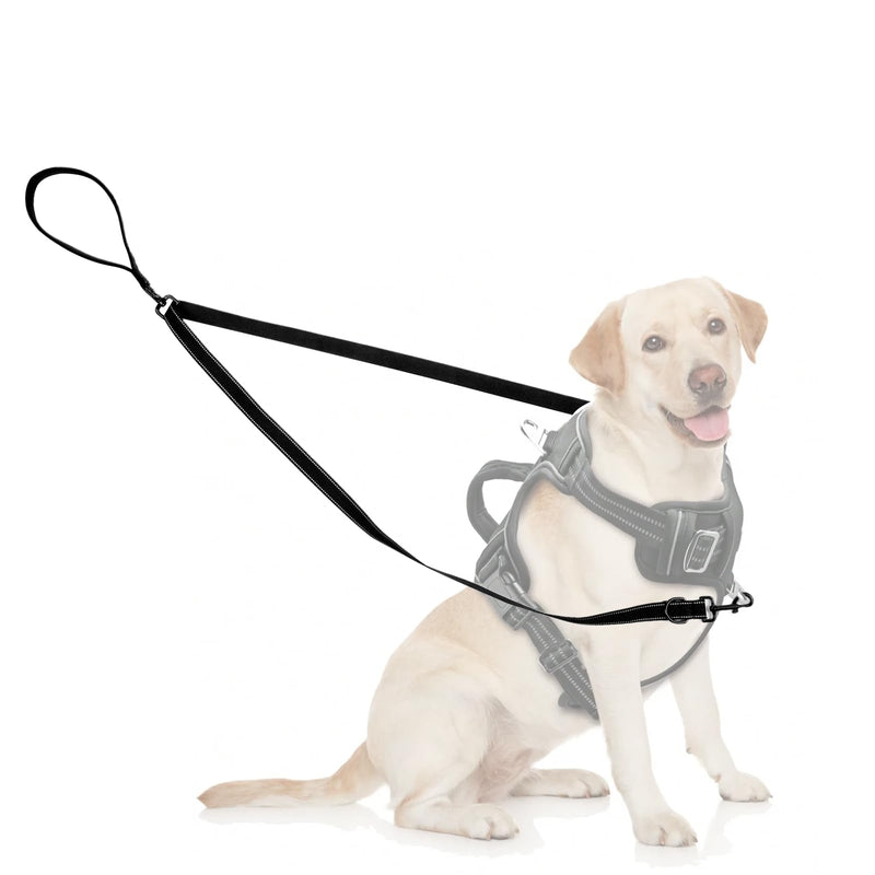 Two Point Control Dog Leash Soft Padded and Reflective Nylon Walking Lead No Tangle Training Leashes Converts to Single Lead Works with No Pull Harnesses for Medium Large Dogs (Black) - PawsPlanet Australia