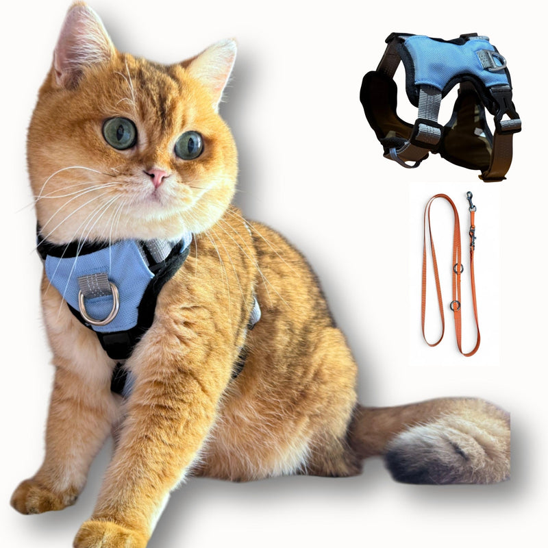 Cat 5-Point Adjustable Harness and Leash Set, Sky Blue Polyester, 5-Point Adjustable Vest with Reflective Lines Prefect for Outdoor Soft Comfortable (Medium) Medium