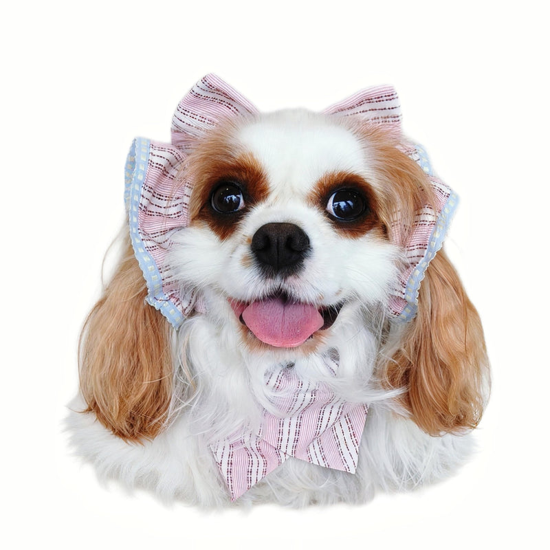 Soft Cotton Dog Headband for Cocker Spaniel, Cavalier, Springer - Adjustable Bow Pet Hair Accessory (Dog Bow Beige) - PawsPlanet Australia