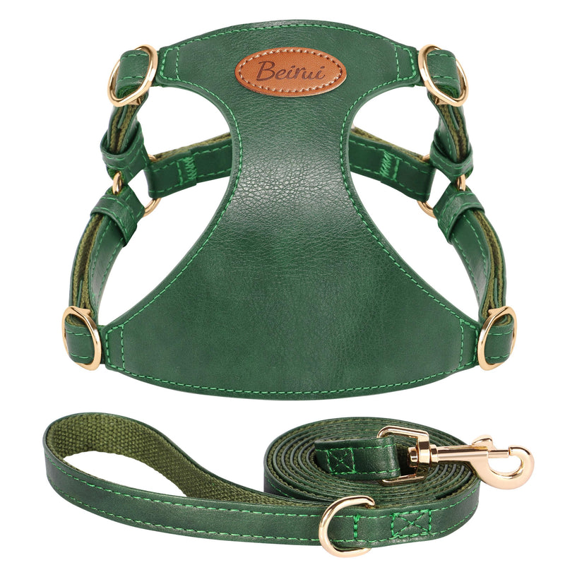 Beirui ?Stylish PU Leather Dog Harness? and Leash Set for Small Dogs, ?Adjustable Step in Puppy Harness with Breathable Mesh Lining and Durable Metal Buckle for Walking Traveling(Green,XS) XS: Fit 4-11lbs Green - PawsPlanet Australia