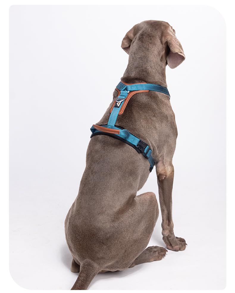 Reflective Dog Harness, Adjustable L-Shape Vest for Small Medium Large Dogs, No Pull Pet Harness for Walking and Training, Enhanced Comfort and Safety (Pack of 1 Blue, S) - PawsPlanet Australia