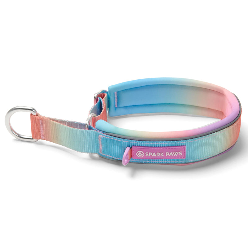 Spark Paws Martingale Dog Collar – Cushioned Slip-On Training Collar, Heavy Duty, Safety-Tested No-Buckle Collar for Medium & Large Dogs - Pastel Icing - C 01 Pastel Icing C: 17" - 18.5" [1.8" wide] - PawsPlanet Australia