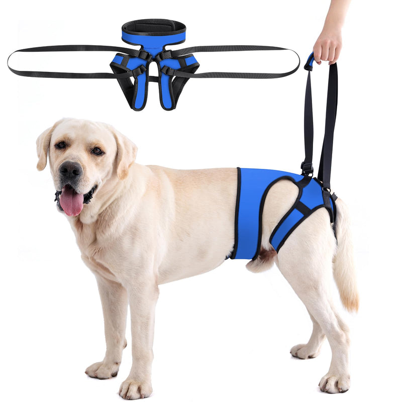 LIANZIMAU Dog Sling for Large Dogs Adjustable Hind Leg Support Lift Harness Senior Canine Mobility Aid Carrier for Back Legs Walking Rehabilitation Royal Blue L - PawsPlanet Australia