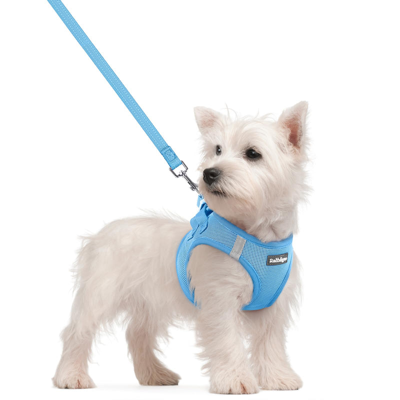 rabbitgoo Dog Harness Small Sized and Leash Set, Step in Soft Light Puppy Vest, Breathable Mesh Pet Harness, Reflective for Safe Easy Walking, Blue S S (Chest: 15.1 - 16.5") - PawsPlanet Australia