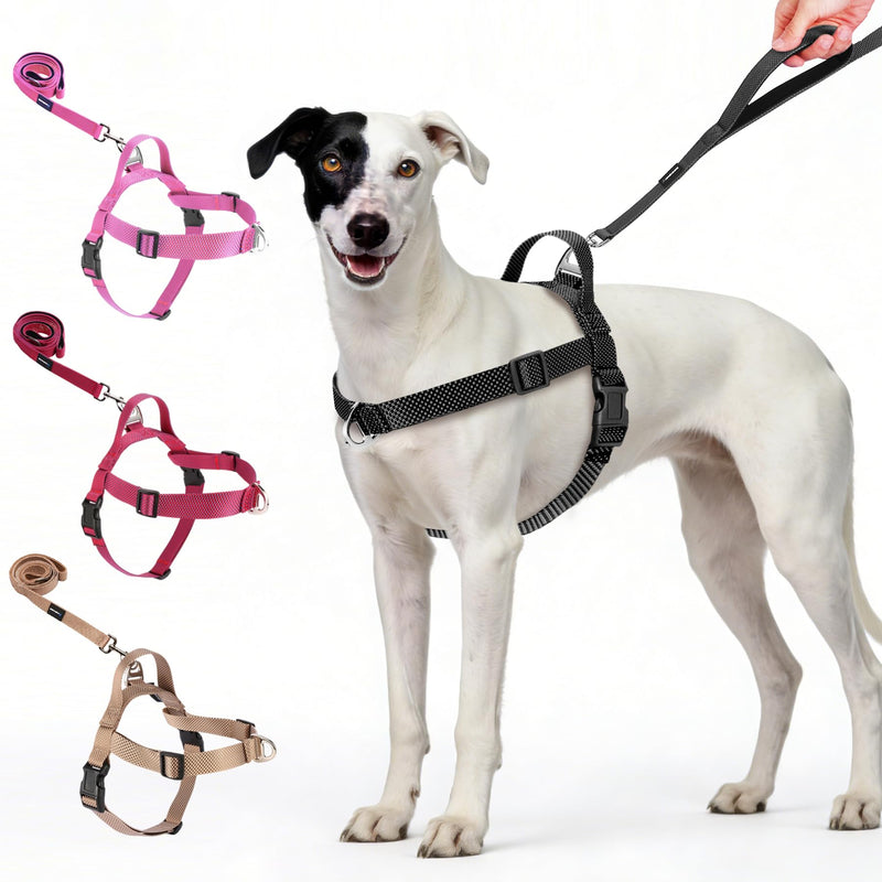 Annchwool No Pull Dog Harness with Front Clip and Easy Control Handle-Belly & Chest Adjustable Dog Harness and Leash Set for Medium Large Dogs-Heavy Duty Vest Harnesses Easy for Walking(Black,L) Black L - PawsPlanet Australia