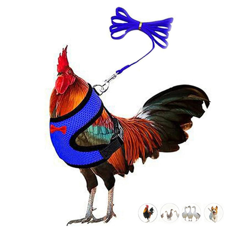 Chicken Harness and Leash Set Adjustable Mesh Breathable Duck Training Harness Pets Leashs for Goose Hen Rooster Parrots Dog Kitten, Blue M M( Chest 18.1-20.5") - PawsPlanet Australia