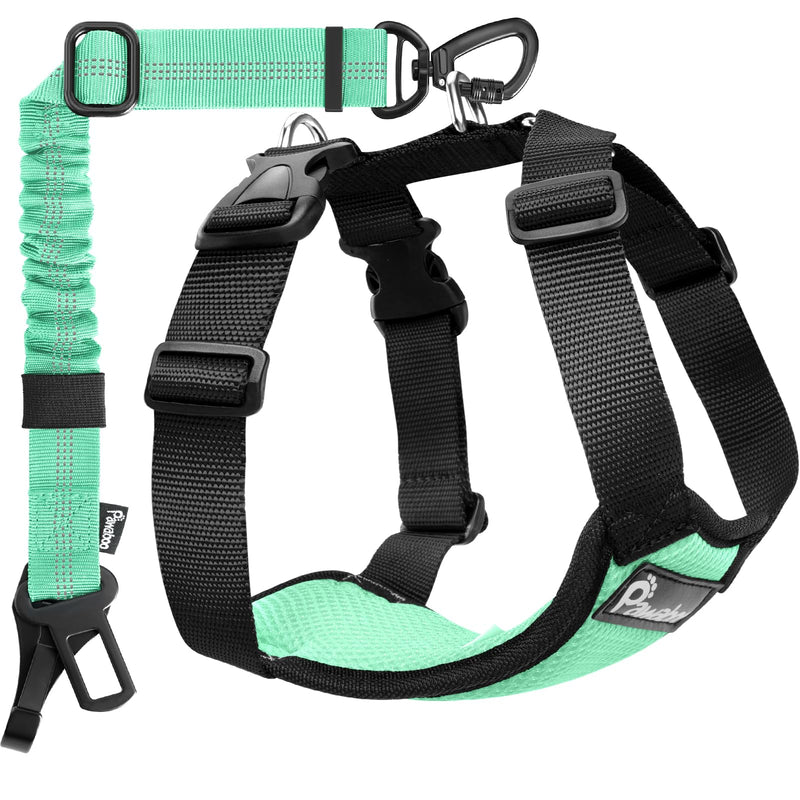 Pawaboo Dog Seat Belt Harness for Car, Dog Car Harness Seatbelt with Double Clips, Adjustable Breathable Pet Vest & Dogs Safety Tether with Elastic Bungee for Small Medium Large Pet, L, Blue + Black - PawsPlanet Australia