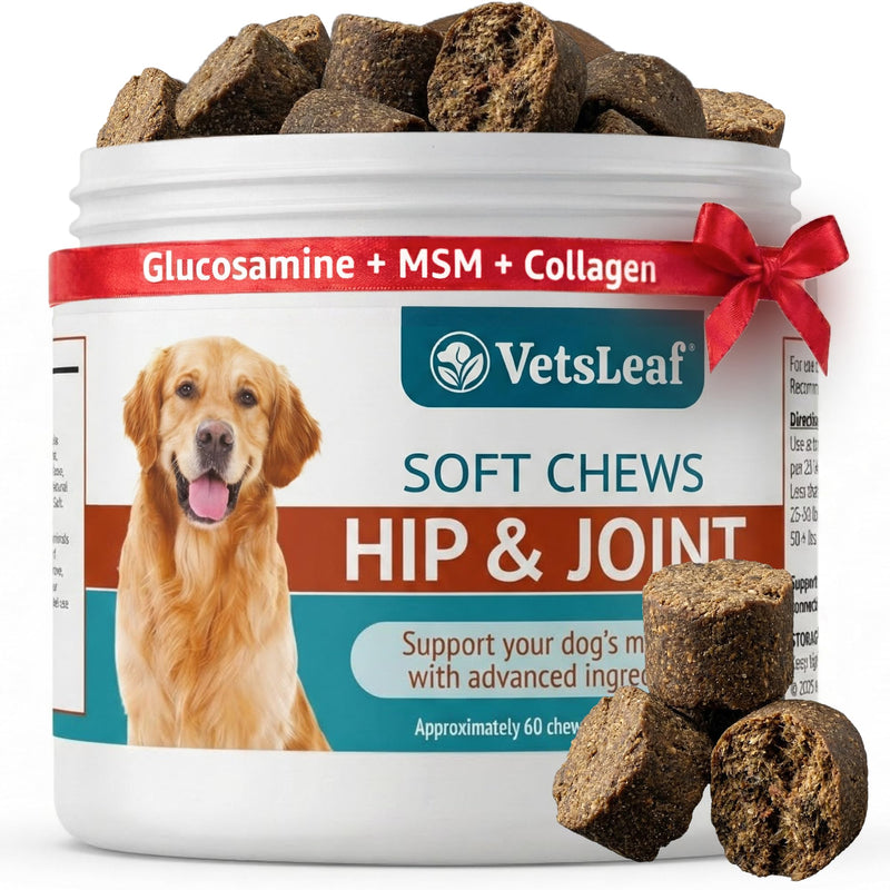 Hip & Joint Dog Chews – Glucosamine, Chondroitin, MSM, Turmeric & Collagen for Joint Health & Mobility – High-Potency Supplement for Dogs of All Breeds & Sizes – Active Lifestyle Support Hip & Joint - PawsPlanet Australia