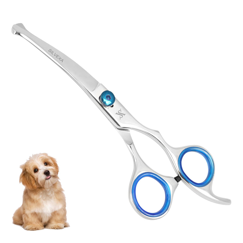 6.5” Curved Pet Grooming Scissors – Professional Dog Hair Cutting Shears with Blue Adjustable Tension Screw & Comfort Grip – Ideal for Face, Ears, Paws & Finishing - PawsPlanet Australia