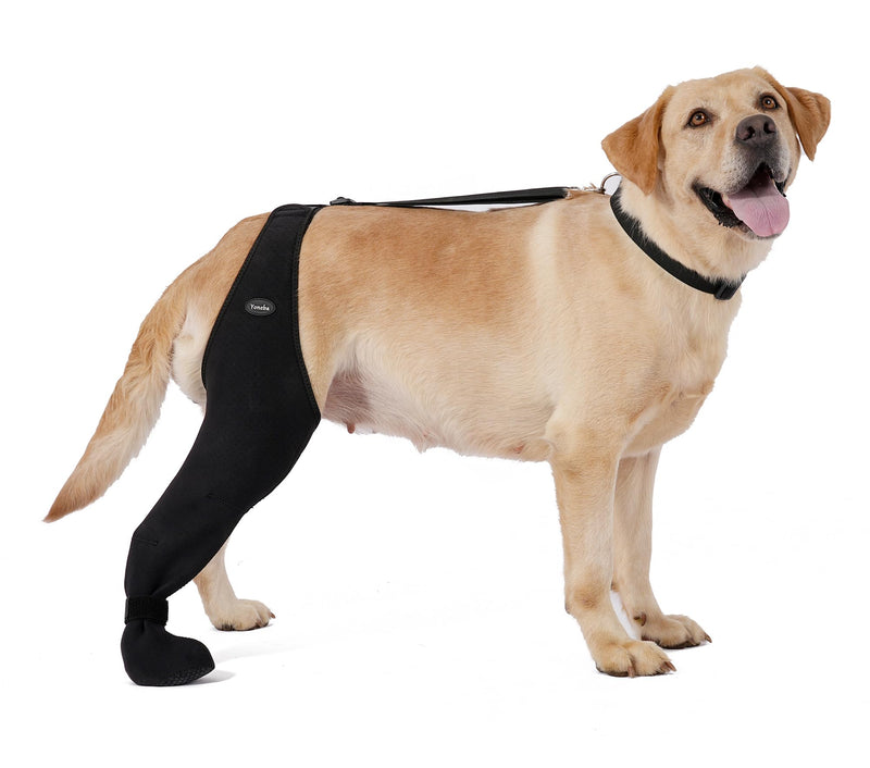 Dog Socks to Prevent Licking Paws ，Breathable Leg Sleeve to Stop Licking and Biting， Firm and Secure Adjustable Size Dog Recovery Sleeve Socks (L-Right) L-Right - PawsPlanet Australia