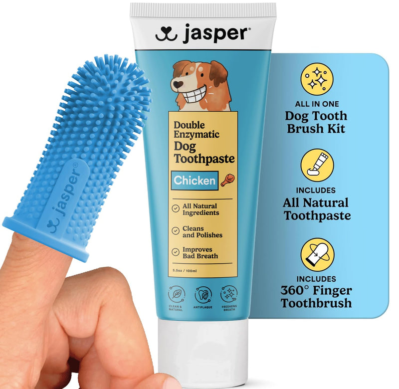Jasper Dog Tooth Brushing Kit and Dog Toothpaste Kit 360 Dog Toothbrush Enzymatic Plaque Remover Imporves Bad Breath Natural Pet Toothpaste Dog Toothbrush and Toothpaste 2 oz Chicken Flavor Chicken Kit