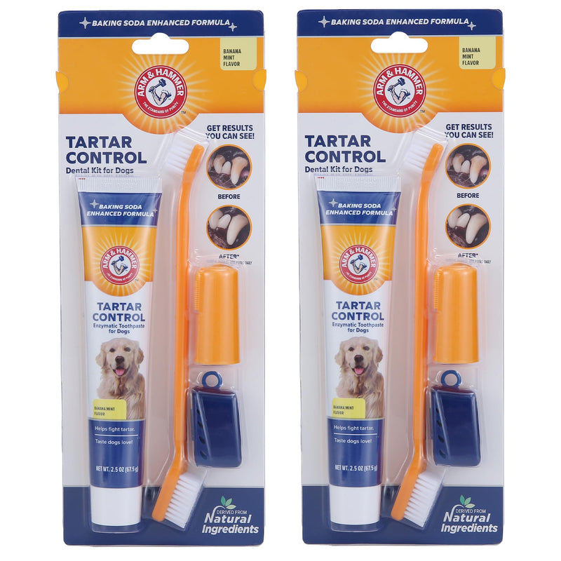 Arm & Hammer for Pets Tartar Control Dog Dental Care Kit, Dog Toothpaste Kit with Toothbrush and Finger Brush for Oral Hygiene and Fresh Breath Care, Banana Mint Flavor, 2.5 oz, 3-Piece Kit - 2 Pack 2.5 Ounce (Pack of 2)