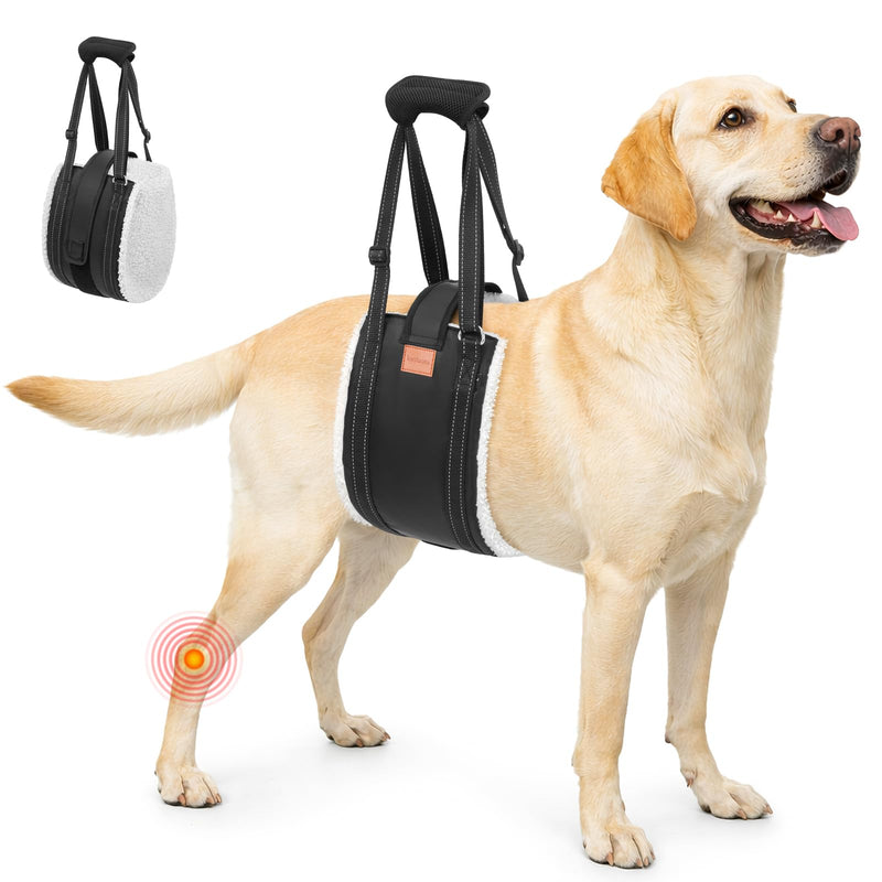 LOOBANI Dog Lift Harness for Back Legs, Portable Dog Sling for Large Dogs Hind Leg Support, Comfortable Leg Support Assistance for Elderly Dogs with Hip, ACL Brace, Senior, Injured - PawsPlanet Australia