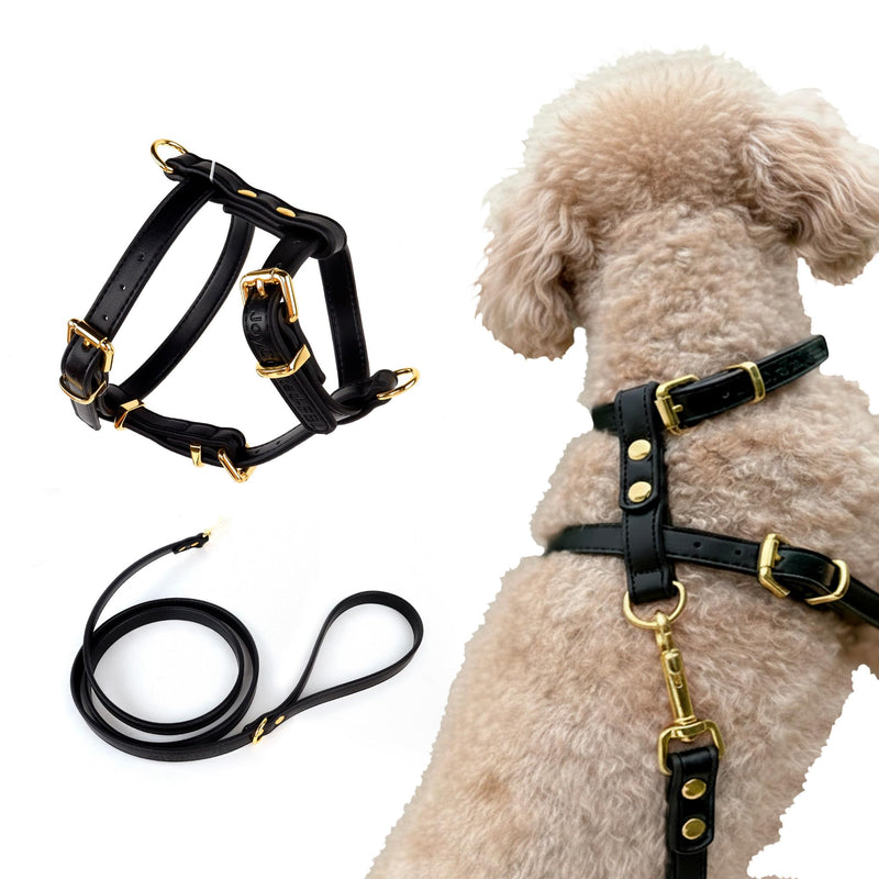 Luxury No Pull Dog Harness and Leash Set, PU Leather Escape-Proof design, Anti-Choke Comfort, Front/Back Attachment, Essential Pet Supplies for Everyday Walks & Training (Harness Leash Set -Black, XL) Harness Leash Set -Black XL-ExtraLarge - PawsPlanet Australia