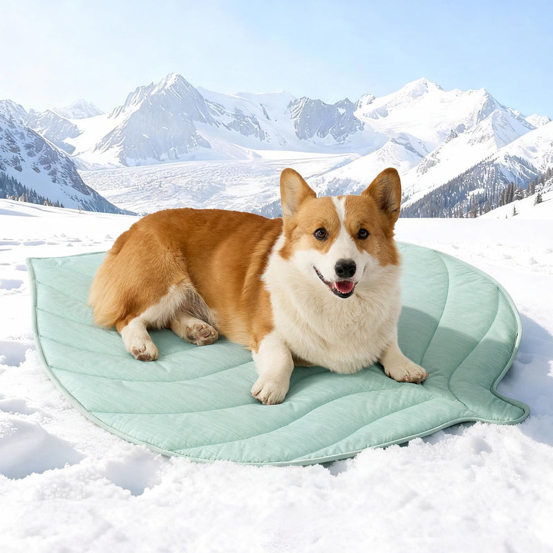 Dog Cooling Mat, Q-Max > 0.4 Leaf Shaped Pet Pad, Liquid Pee Proof Summer Mat for Cats, Washable Sleep Blanket for Bed Couch Floor Indoor, 39x34 inch, Green - PawsPlanet Australia