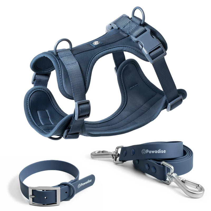 Dog Harness, Collar & Leash Set – Adjustable No Pull Harness with 3 Leash Clips, Waterproof Matching Collar & Leash, Breathable Comfort (Blue, Small) Blue - PawsPlanet Australia