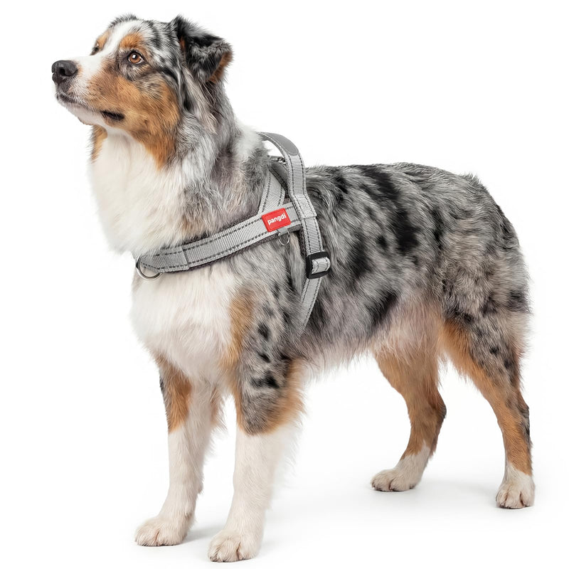 No Pull Dog Harness with Handle, Corgi Adjustable Reflective Dog Vest, Breathable Air Mesh Padded Pet Harness with Front Leash Clip for Small Medium Dogs, Light Grey, XL X-Large - PawsPlanet Australia