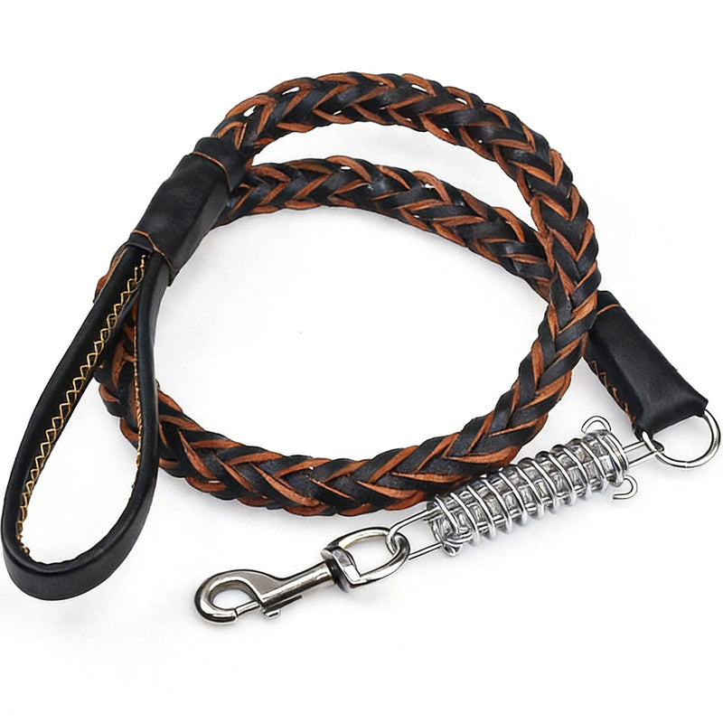 Braided Leather Leads for Dog, 4ft Length, Buffer Design?Heavy Duty Training Dog Leash for Large Medium Small Dogs (Black) BLACK - PawsPlanet Australia