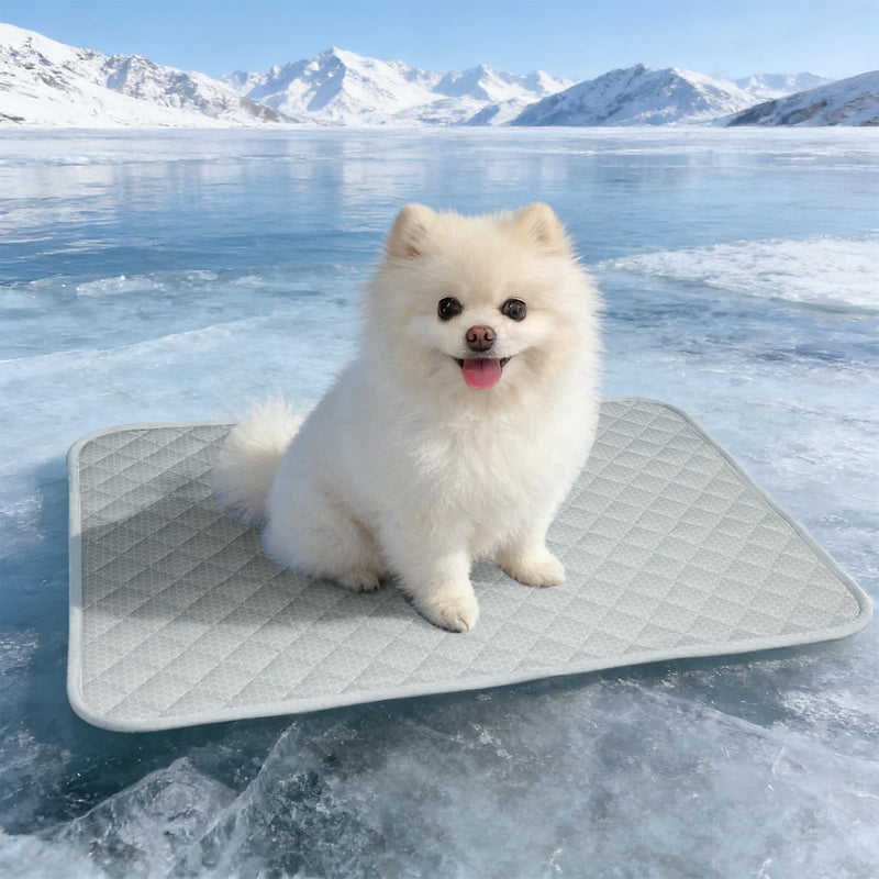 Cooling Mat for Dogs: Premium Waterproof Dog Cooling Blanket, 5-Layer Materials Dog Cooling Mat, Washable Pet Cooling Mat for Summer, Silver Grey Mats Medium Dogs Medium(40"x28") 005-Silver Grey - PawsPlanet Australia