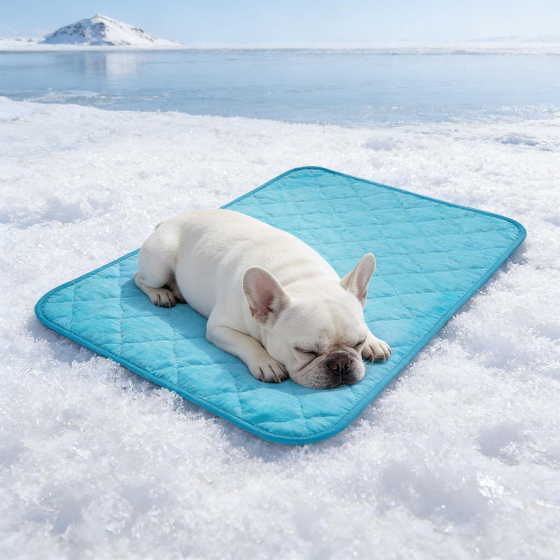 Dog Cooling Mat for Summer: Outdoor Dog Cooling Pad, Washable Cooling Mat for Dogs, Cooling Dog Bed for Kennel, Waterproof Pet Cooling Mat, Blue Pet Blanket Medium Dogs Medium(40"x28") 004-Blue - PawsPlanet Australia