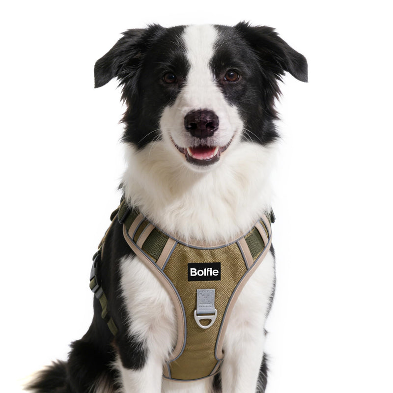 Tactical Dog Harness for Medium Dogs,No Pull Military Dog Vest with Handle,Reflective Heavy Duty Pet Harness for Walking Hiking Training M - PawsPlanet Australia