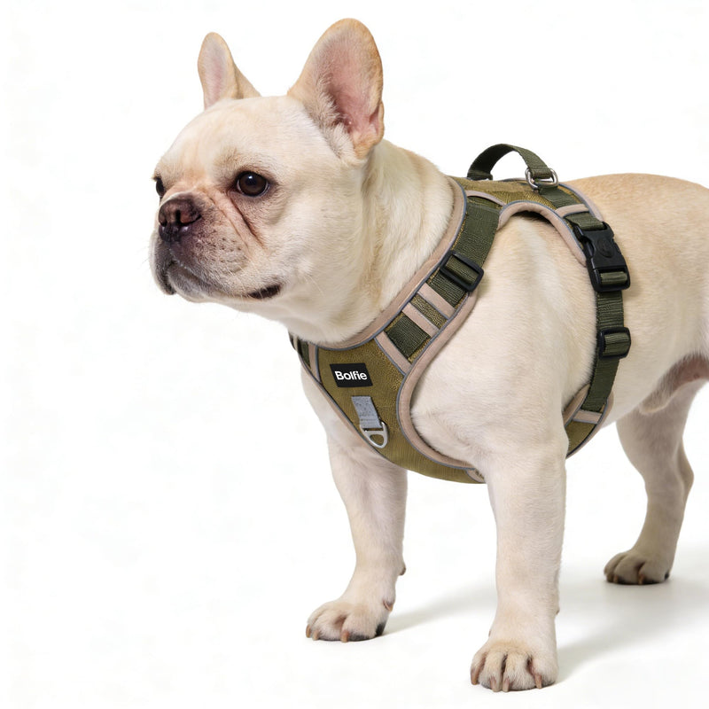 Small Dog Harness, Heavy Duty Tactical No-Pull Reflective Harness & Collar Set — Secure, No Choke, Easy On and Off Pet Vest, Adjustable Dog Vest with Breathable Padded for Walking Hiking Training Small - PawsPlanet Australia