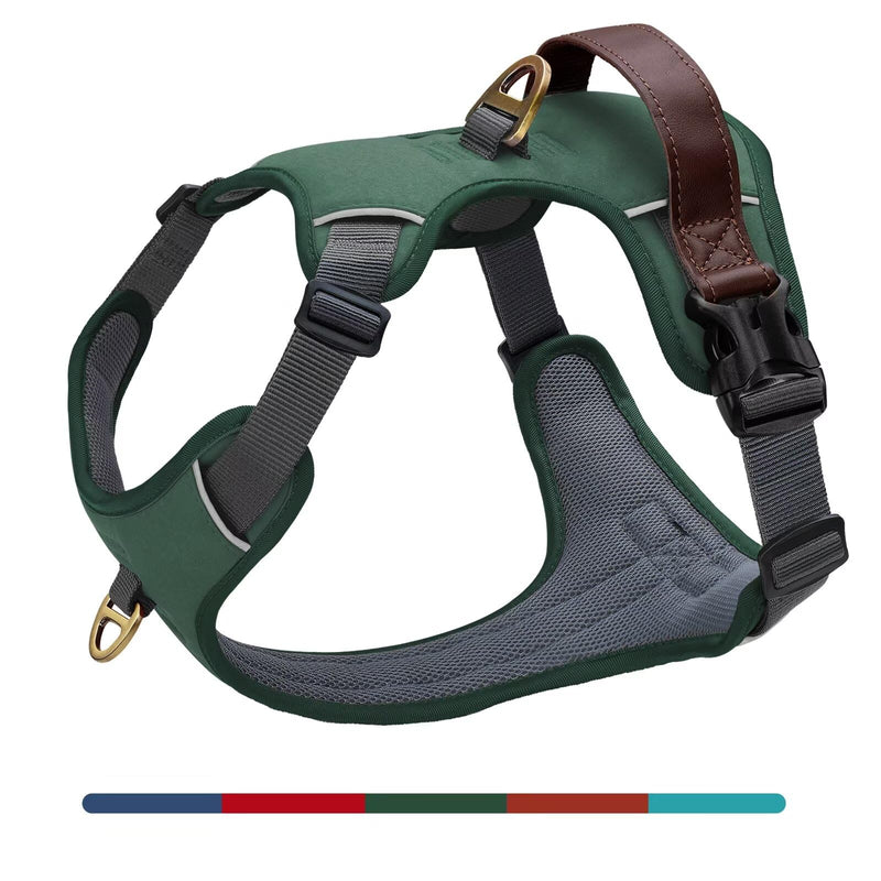 Didog No Pull Dog Harness Small Sized Dog,Classic PU Leather Vest for Small Dogs with Easy Control Handle,No Choke Front Clip,Reflective & Adjustable for Walking,Green,Chest 19-24" Green S: Chest 19-24", Fit 13-26 lbs - PawsPlanet Australia