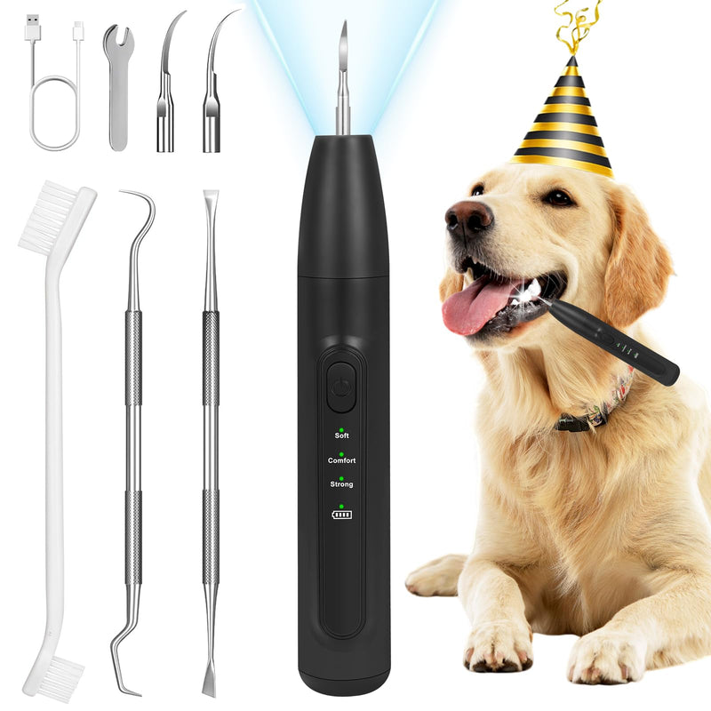 Dog Tooth Brushing Kit,Dogs Teeth Cleaning Kit with Light,3 Modes Doggie Plaque and Tartar Remover for Teeth,Low Noise Dog Teeth Cleaner and Dental Care,Black - PawsPlanet Australia