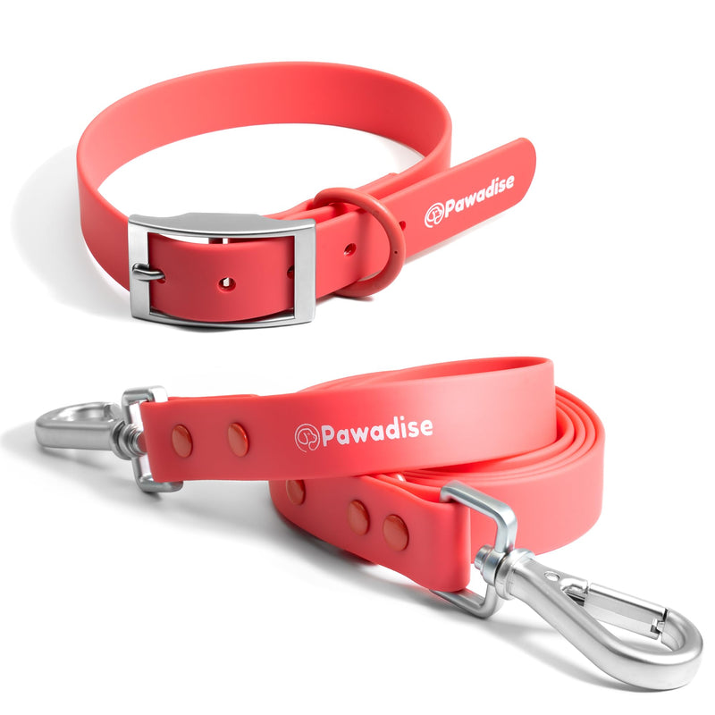 Collar & Leash Set – Adjustable, Waterproof, Dirt & Odor Resistant, Easy to Clean (Red Watermelon, Large) Red Watermelon