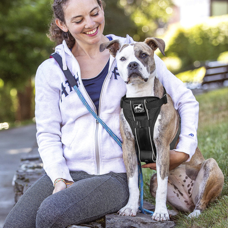 Kurgo Dog Harness | Pet Walking Harness | Small | Black | No Pull Harness Front Clip Feature for Training Included | Car Seat Belt | Tru-Fit Quick Release Style Small (Pack of 1)