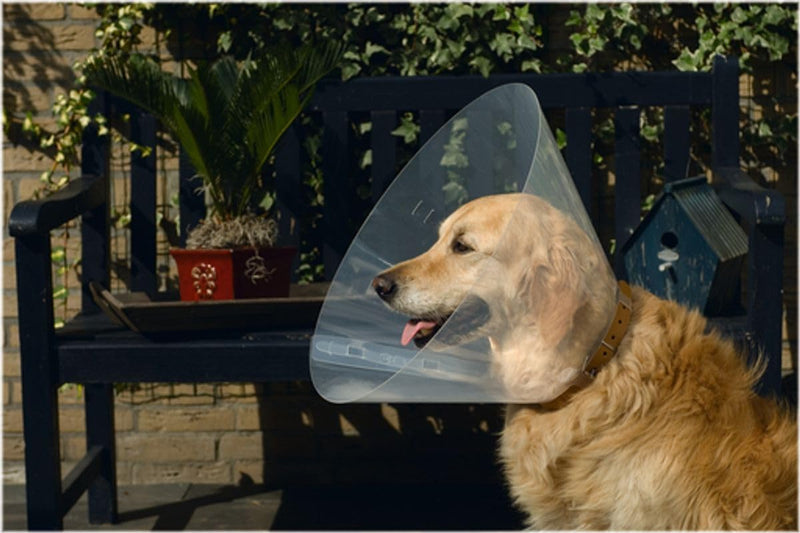 Beeztees Plastic Dog Cap Number 47-57 30