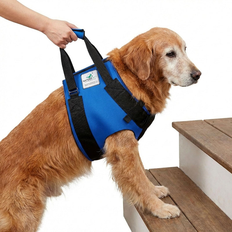 Pfaff medical dog carrier / lifting front harness for Elderly or Injured Dogs (large) L Black
