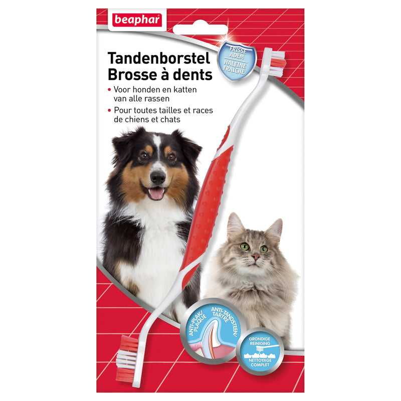 Beaphar Toothbrush