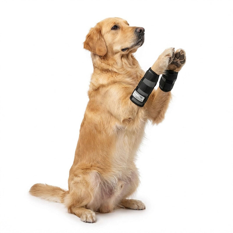 Nature Pet XL Sports Wrist Brace/Support (for Carp Olock Sporting From black