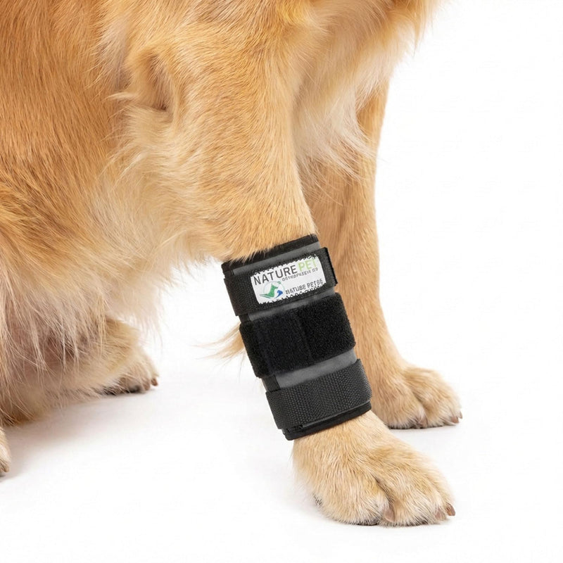 Nature Pet Dog Karpalg Joint Protective Wrist Support for Carp Olock Medium (L) L Black