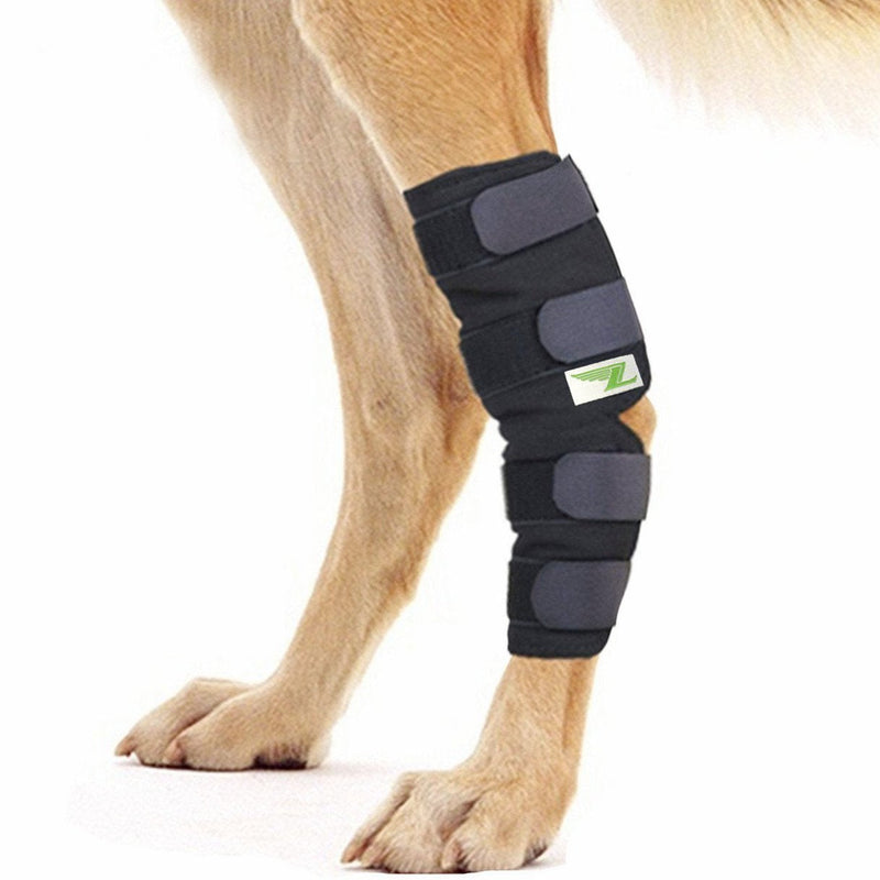 Joint Support for Your Dog's Hind Leg (XL)