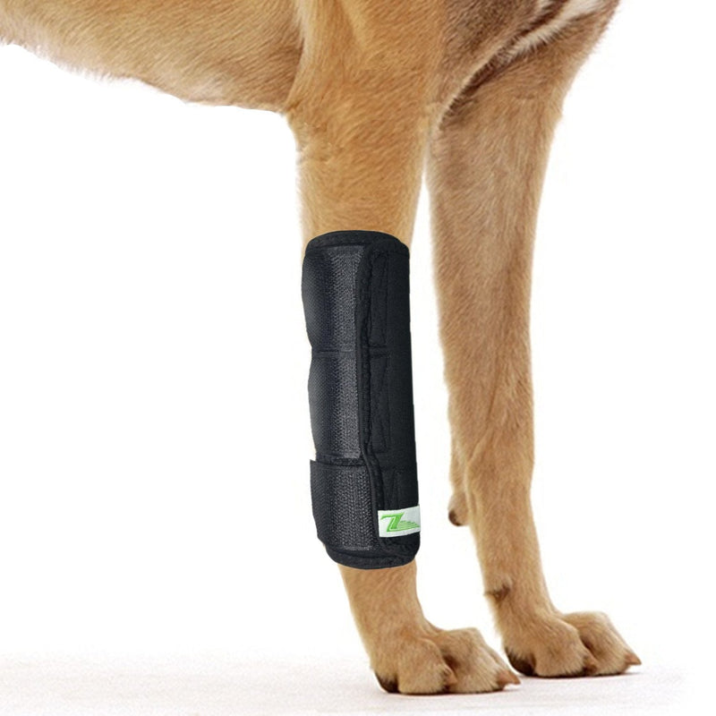 Joint Support for the Front Leg of Your Dog (L/XL)
