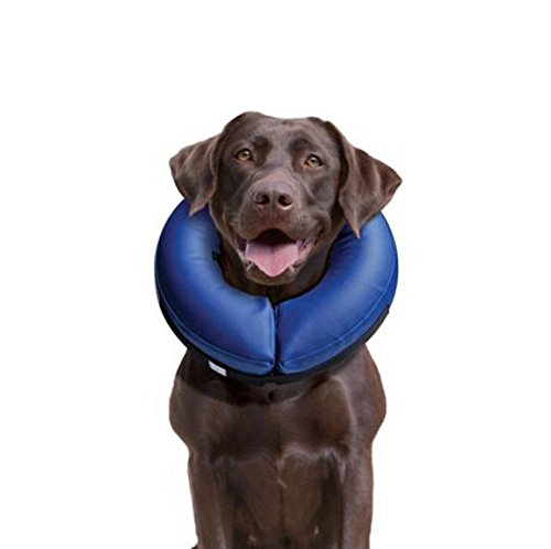 Dog Cat Collar M Inflatable Soft Protective Collar Soft Dog Collar Dog Collar Leak Protection 23-31 cm M (23-31 cm)