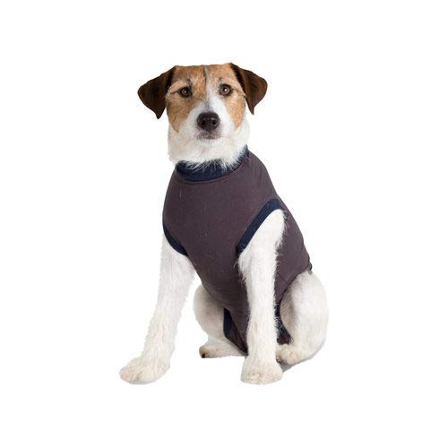Medical Body Suit - Dog - XL