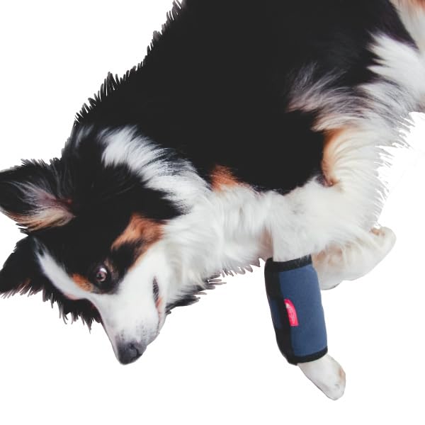 Cooling and Heat Bandage Size L for Dogs and Cats, 2-in-1 Therapy for Injuries and Osteoarthritis