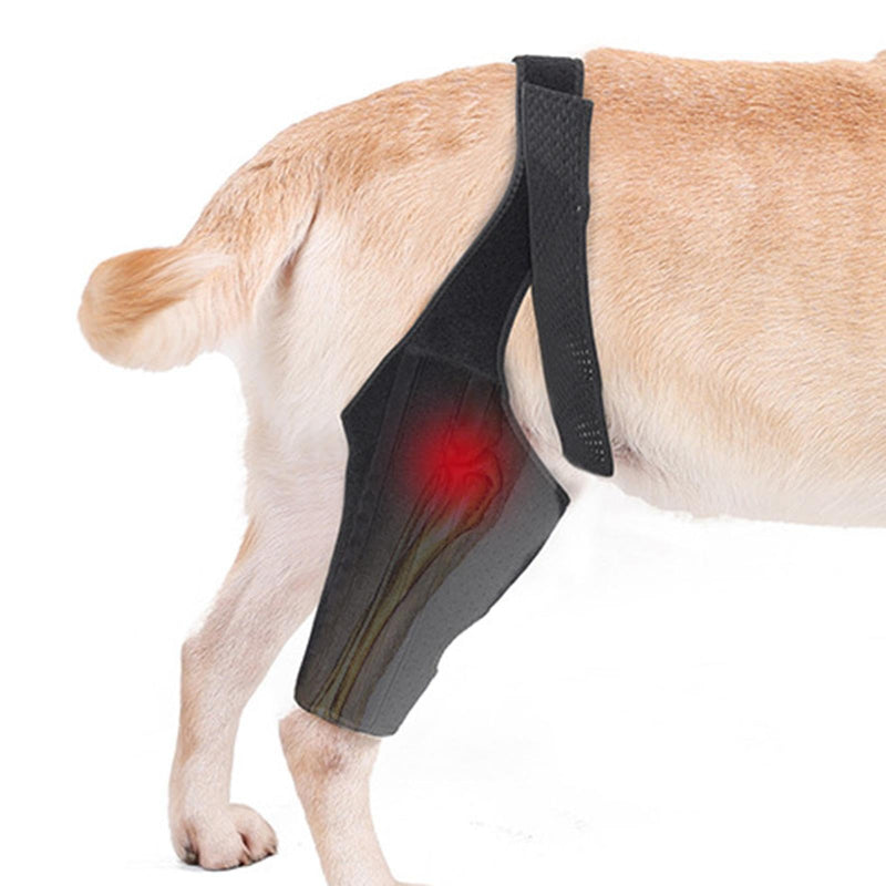 Dog Hip Support | Dog Leg Protection - Metal Strip Rear Leg Support - Breathable Rear Leg Support for Large Dogs Black M