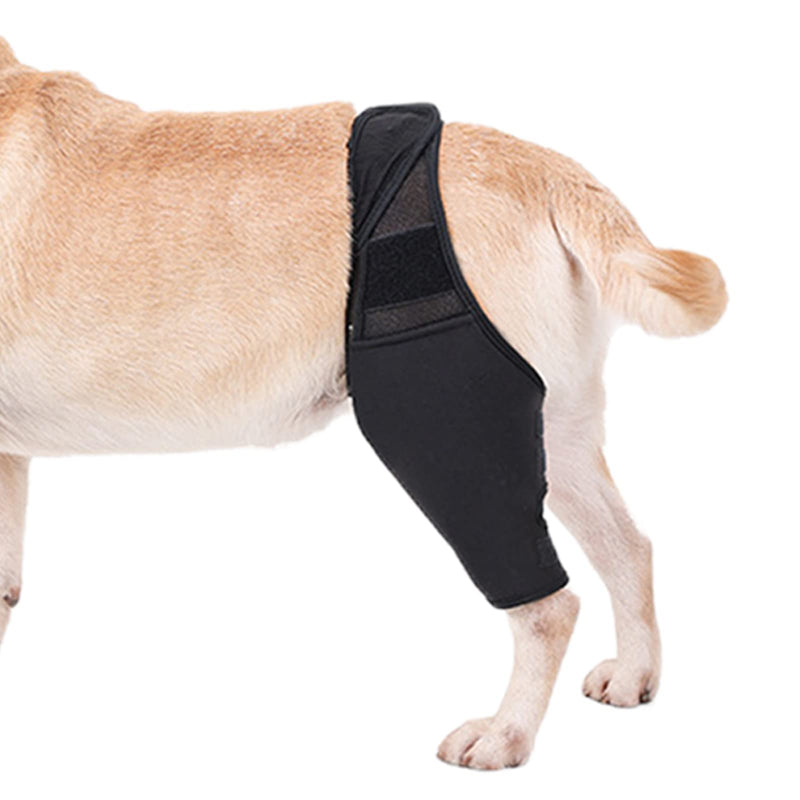 Hip Joint Bandage for Dogs, Knee Brace for Dogs Made of Breathable and Elastic Fabric, Wear-resistant Hip Bandage for Dogs Made of Breathable and Elastic Fabric for the Limbs Black M