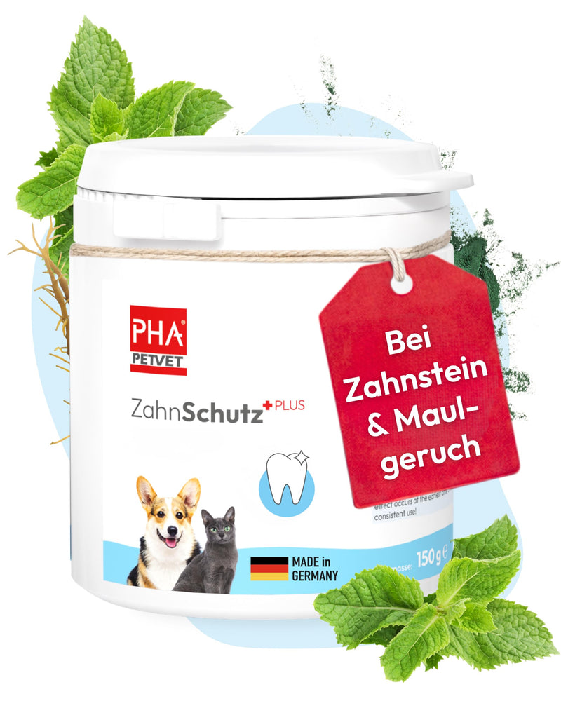 PHA Zahnschutz Plus Dental Powder for Dogs and Cats - Reduction of Tartar and Tartar, Against Bad Breath, Dental Care Dog Cat Teeth Cleaning, 150g 150g