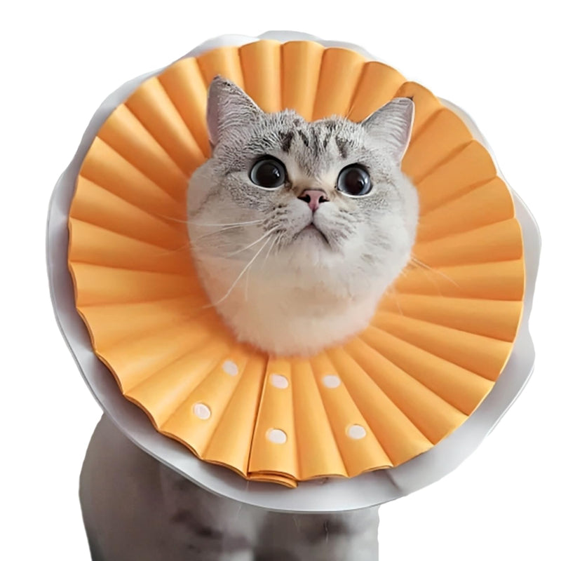 AQPET - Soft Elizabethan Collar for Cats, Lightweight and Flexible Plastic, Adjustable, Double Layer Design, Ideal for Post-Operative Recovery and Wound Protection - Orange, Large